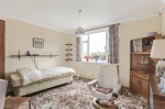 Images for Orpington
