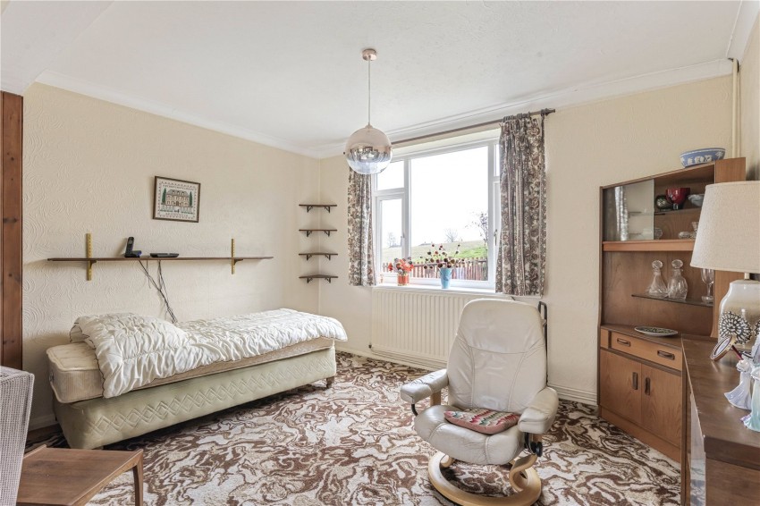 Images for Orpington