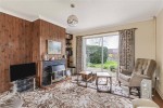 Images for Orpington