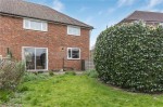Images for Orpington