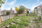 Images for Orpington