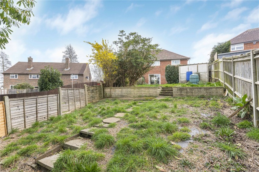 Images for Orpington
