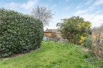 Images for Orpington
