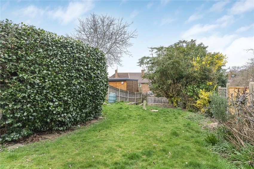 Images for Orpington