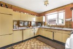 Images for Orpington