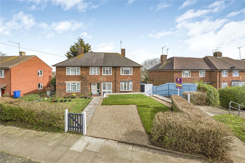 Images for Orpington