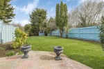 Images for Orpington