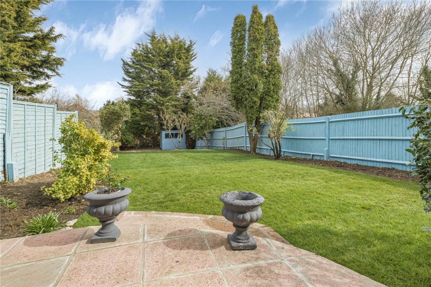 Images for Orpington