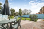 Images for Orpington