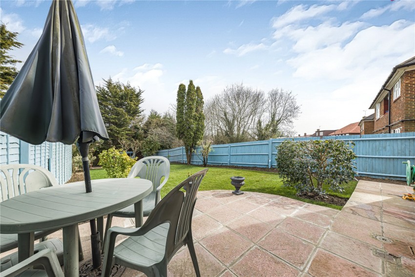 Images for Orpington