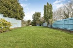 Images for Orpington