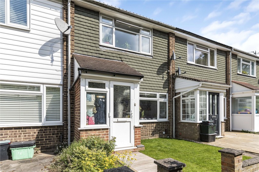 Images for Orpington