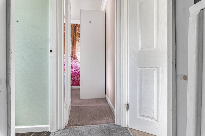 Images for Orpington
