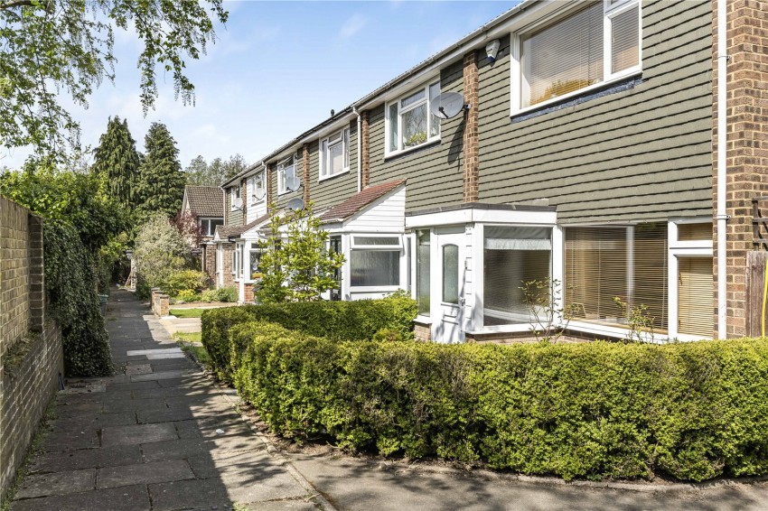 Images for Orpington