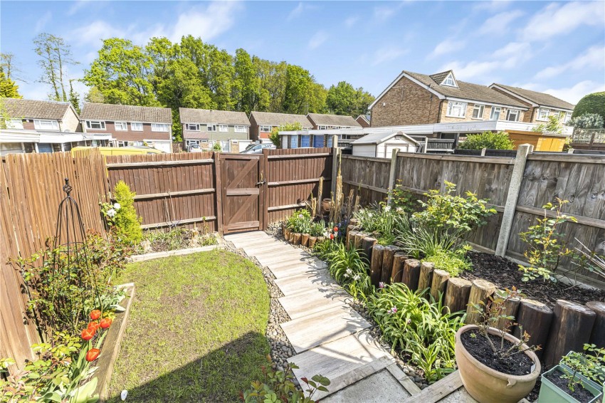 Images for Orpington
