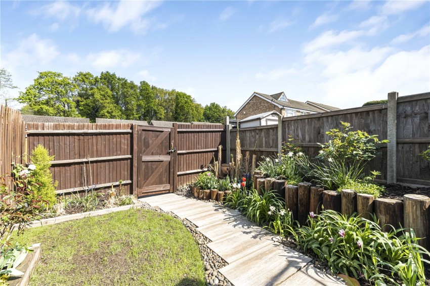 Images for Orpington