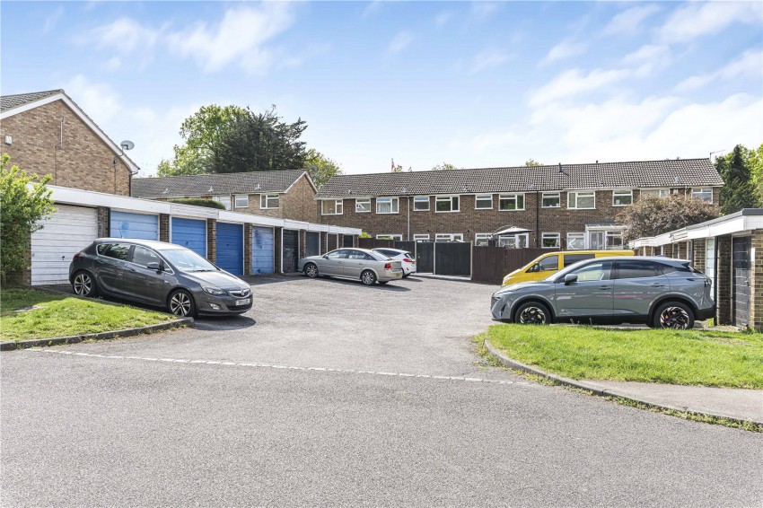 Images for Orpington