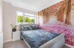 Images for Orpington