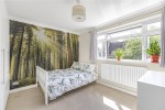 Images for Orpington