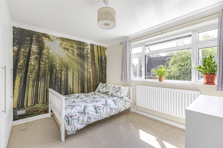 Images for Orpington