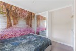 Images for Orpington