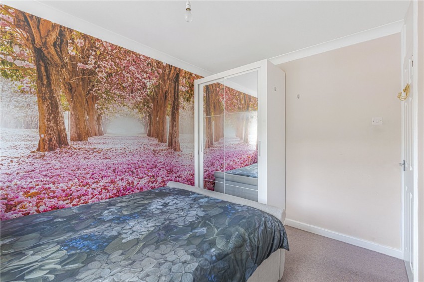 Images for Orpington