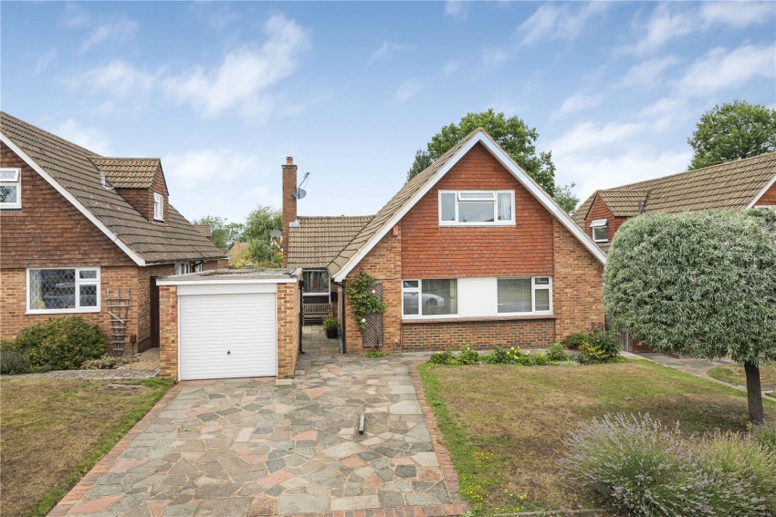 Images for Orpington