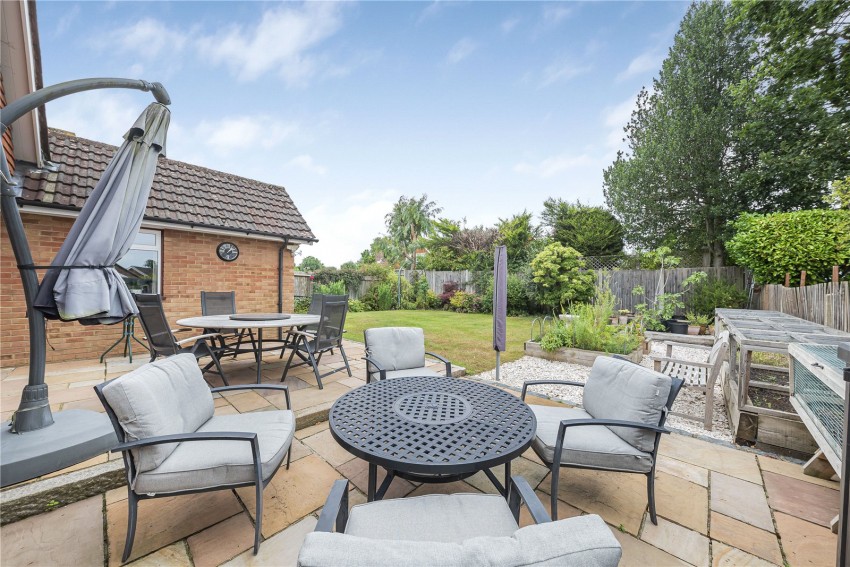 Images for Orpington