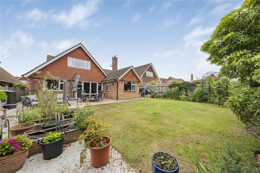 Images for Orpington