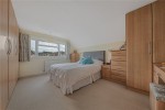 Images for Orpington