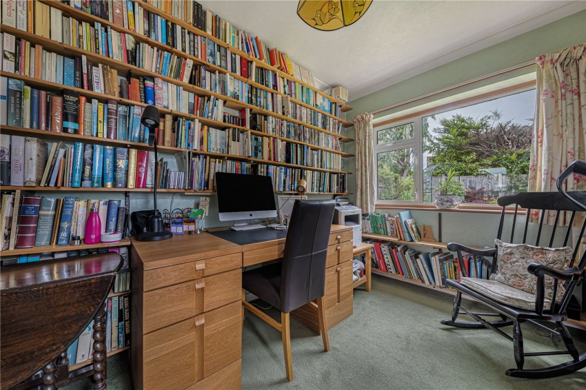 Images for Orpington