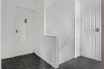 Images for Orpington