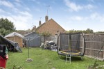 Images for Orpington