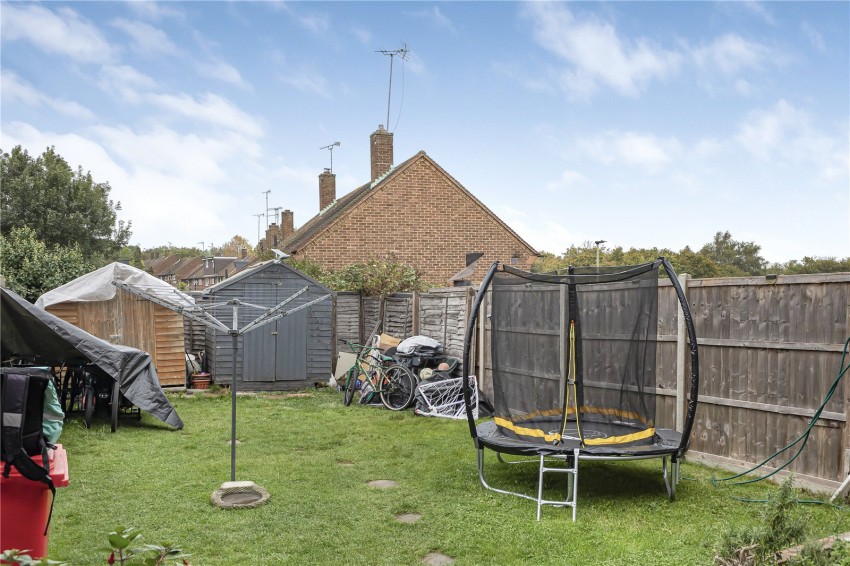 Images for Orpington