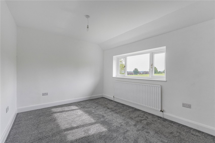 Images for Orpington