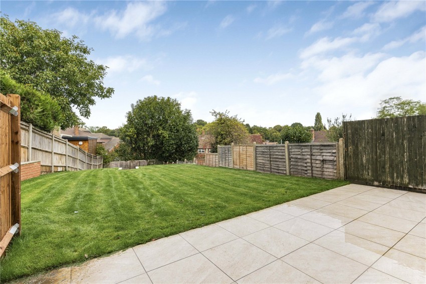 Images for Orpington