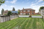 Images for Orpington
