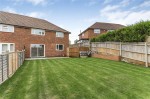 Images for Orpington