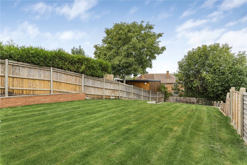 Images for Orpington