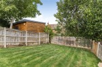 Images for Orpington