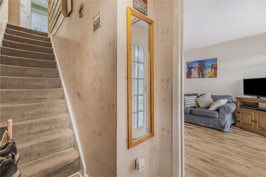 Images for Orpington