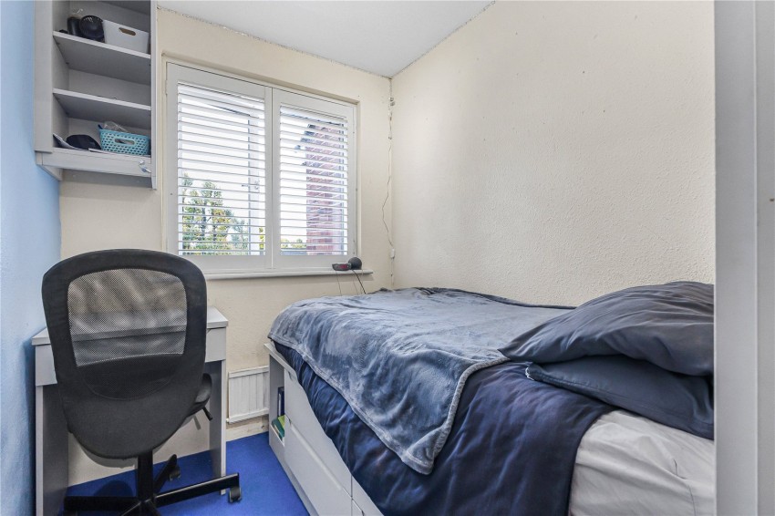 Images for Orpington