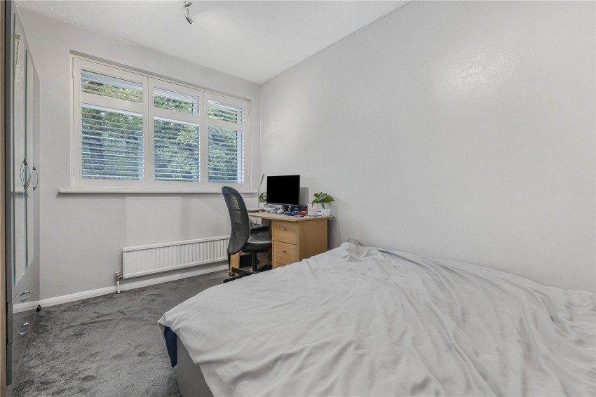 Images for Orpington