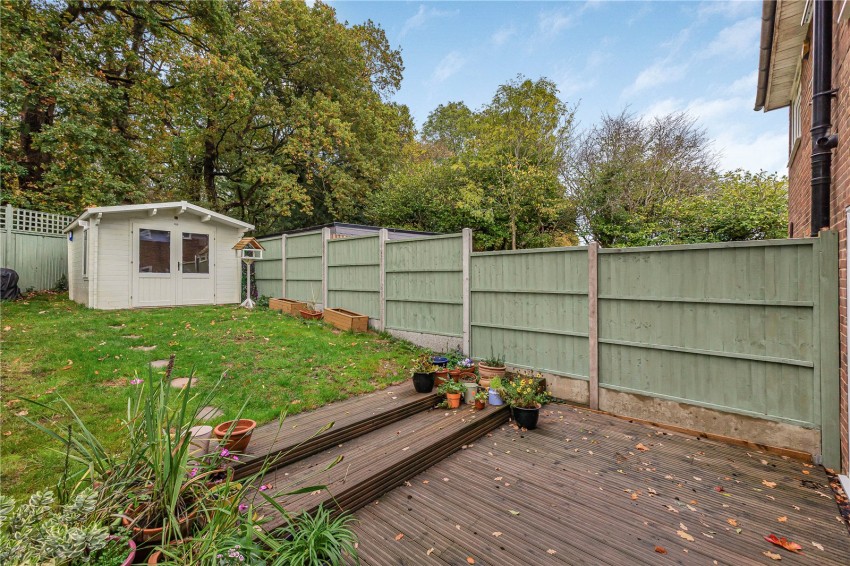 Images for Orpington