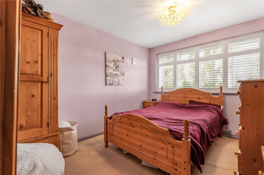 Images for Orpington